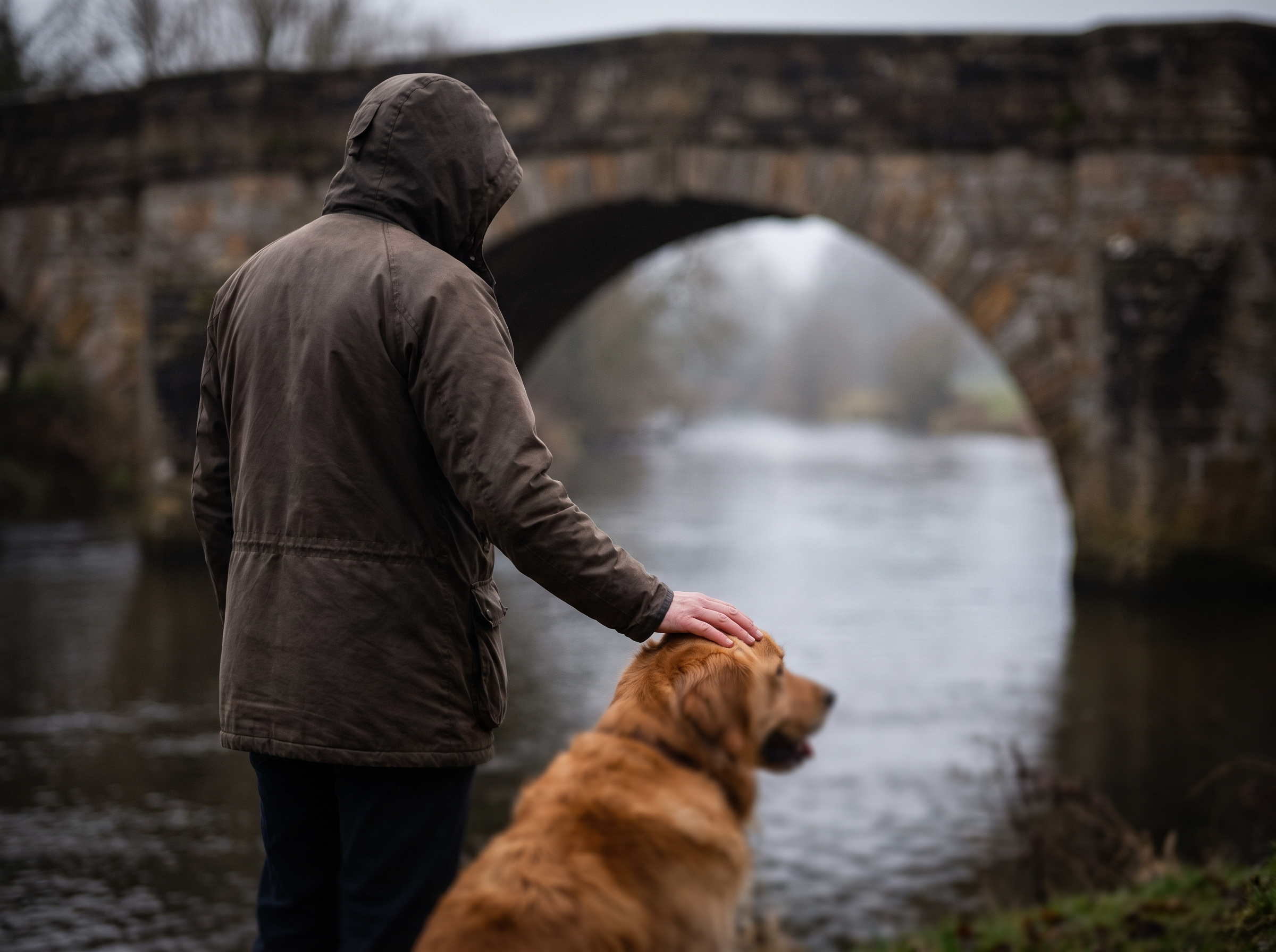 A pet owner standing by a bridge with their beloved deceased pet, symbolizing the comfort found through the Rainbow Bridge concept