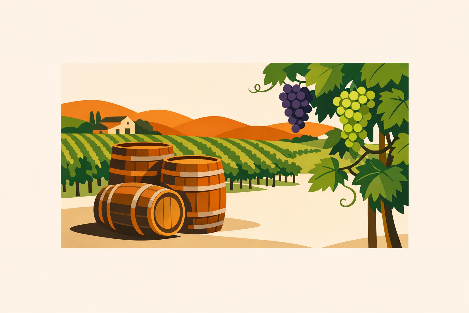 A vineyard setup with barrels and grapevines showcasing things to do in Sonoma County wine country