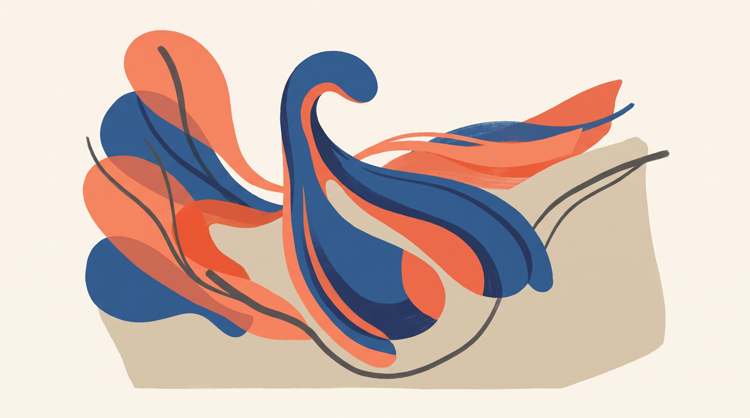 Anatomical illustration of the clitoris