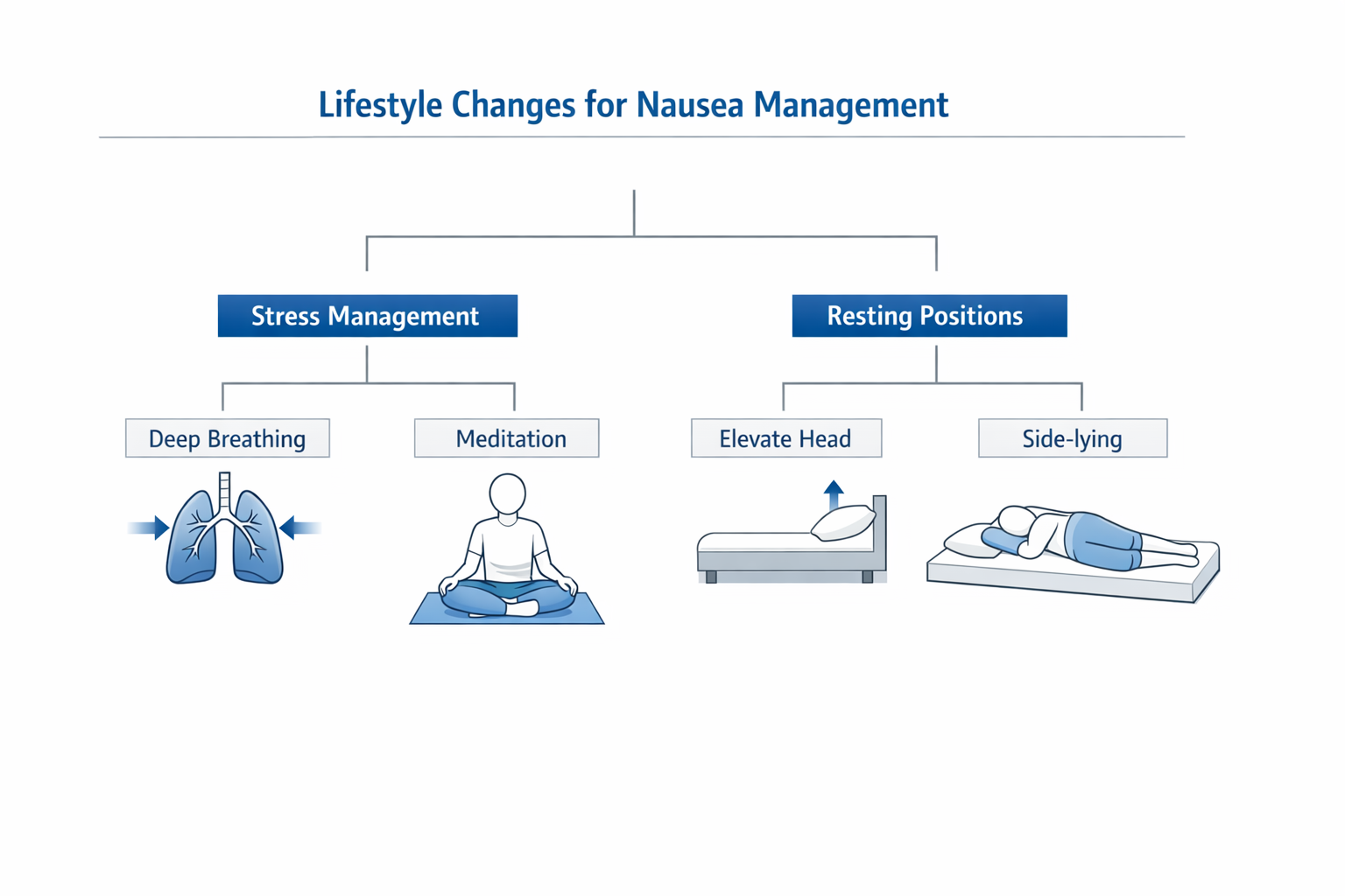 Diagram of lifestyle changes for nausea management